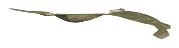 ch1_04_slodbase_nocrunch_5, a piece of the GTA V map in Lago Zancudo