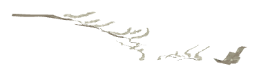 ch1_04b_cliff_dcl_08, a decal of the GTA V map in Tongva Valley