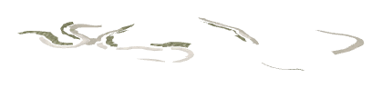 ch1_04b_dcl_01, a decal of the GTA V map in Lago Zancudo