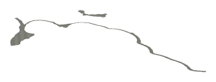 ch1_04b_dcl_09d, a decal of the GTA V map in Lago Zancudo