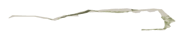 ch1_04b_landdecal_lod, a low-detail (LOD) model of the GTA V map in Zancudo River