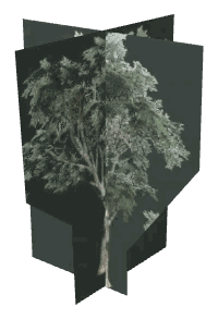 ch1_04b_props_combo06_15_lod, a low-detail (LOD) model of the GTA V map in Lago Zancudo