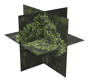ch1_04b_props_combo08_29_lod, a low-detail (LOD) model of the GTA V map in Tongva Hills