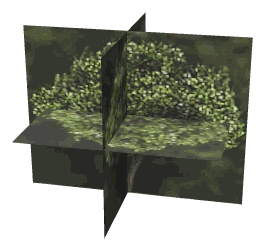 ch1_04b_props_combo09_15_lod, a low-detail (LOD) model of the GTA V map in Lago Zancudo