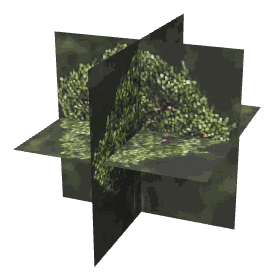 ch1_04b_props_combo09_17_lod, a low-detail (LOD) model of the GTA V map in Lago Zancudo