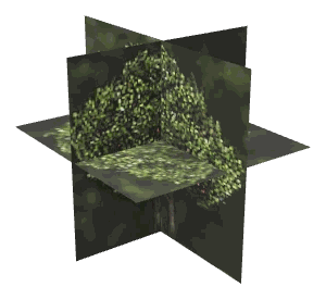 ch1_04b_props_combo10_03_lod, a low-detail (LOD) model of the GTA V map in Lago Zancudo