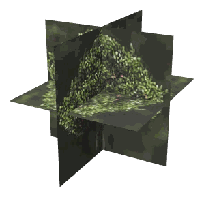 ch1_04b_props_combo11_20_lod, a low-detail (LOD) model of the GTA V map in Lago Zancudo