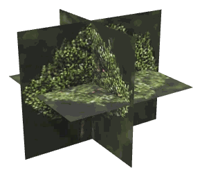 ch1_04b_props_combo11_23_lod, a low-detail (LOD) model of the GTA V map in Lago Zancudo