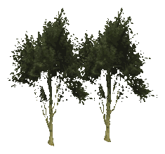 ch1_04b_props_combo19_06_lod, a low-detail (LOD) model of the GTA V map in Lago Zancudo