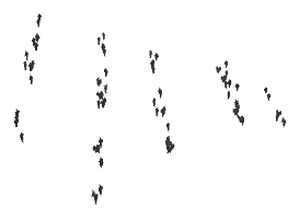 ch1_04b_vinegrapes_01, a piece of the GTA V map in Tongva Hills