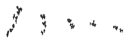 ch1_04b_vinegrapes_03, a piece of the GTA V map in Tongva Hills