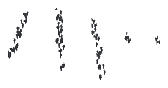 ch1_04b_vinegrapes_05, a piece of the GTA V map in Tongva Hills