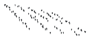 ch1_04b_vinegrapes_38, a piece of the GTA V map in Tongva Hills