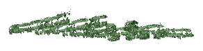ch1_04b_vinegrapes__13, a piece of the GTA V map in Lago Zancudo
