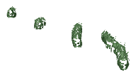 ch1_04b_vinegrapes__24, a piece of the GTA V map in Tongva Hills