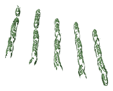 ch1_04b_vinegrapes__27, a piece of the GTA V map in Tongva Hills