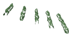 ch1_04b_vinegrapes__29, a piece of the GTA V map in Tongva Hills