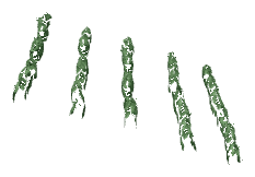 ch1_04b_vinegrapes__35, a piece of the GTA V map in Tongva Hills