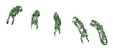 ch1_04b_vinegrapes__37, a piece of the GTA V map in Tongva Hills