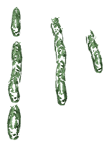 ch1_04b_vinegrapes__40, a piece of the GTA V map in Tongva Hills