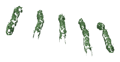 ch1_04b_vinegrapes__43, a piece of the GTA V map in Tongva Hills