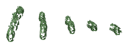 ch1_04b_vinegrapes__44, a piece of the GTA V map in Tongva Hills