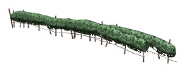 ch1_04b_vines_01, a piece of the GTA V map in Lago Zancudo