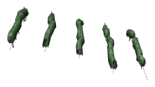 ch1_04b_vines_25, a piece of the GTA V map in Tongva Hills