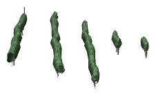 ch1_04b_vines_26, a piece of the GTA V map in Tongva Hills