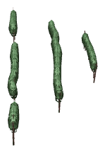 ch1_04b_vines_28, a piece of the GTA V map in Tongva Hills