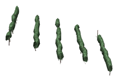 ch1_04b_vines_29, a piece of the GTA V map in Tongva Hills