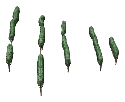 ch1_04b_vines_34, a piece of the GTA V map in Tongva Hills
