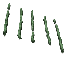 ch1_04b_vines_35, a piece of the GTA V map in Tongva Hills