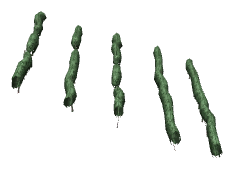 ch1_04b_vines_36, a piece of the GTA V map in Tongva Hills