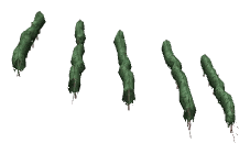 ch1_04b_vines_37, a piece of the GTA V map in Tongva Hills