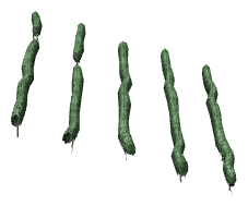 ch1_04b_vines_47, a piece of the GTA V map in Tongva Hills