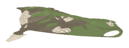 ch1_04b_wetlands_tmp6, a piece of the GTA V map in Lago Zancudo