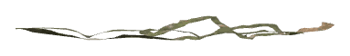ch1_05_d00, a piece of the GTA V map in Tongva Valley