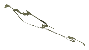 ch1_05_d03, a piece of the GTA V map in Tongva Hills