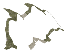 ch1_05_d08, a piece of the GTA V map in Tongva Valley