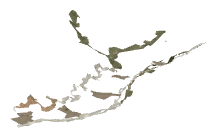 ch1_05_d18, a piece of the GTA V map in Tongva Valley