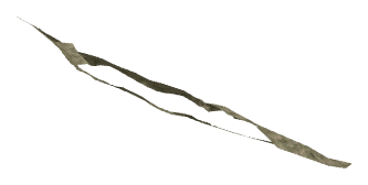 ch1_05_decal_02, a decal of the GTA V map in Tongva Hills
