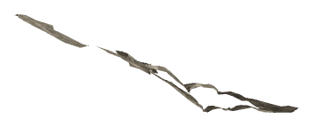 ch1_05_decal_14, a decal of the GTA V map in Tongva Hills