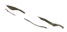 ch1_05_decal_18, a decal of the GTA V map in Tongva Hills