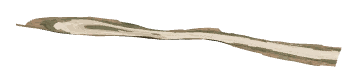 ch1_05_dirttrack002, a terrain piece of the GTA V map in Tongva Valley