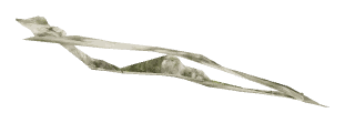 ch1_05_gbdec_03, a piece of the GTA V map in Tongva Valley