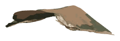 ch1_05_land1_lod, a low-detail (LOD) model of the GTA V map in Tongva Hills