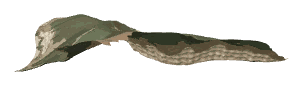 ch1_05_land2_lod, a low-detail (LOD) model of the GTA V map in Tongva Hills