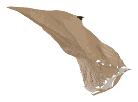 ch1_05_land4, a terrain piece of the GTA V map in Tongva Hills