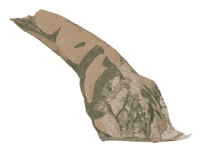 ch1_05_land7_lod, a low-detail (LOD) model of the GTA V map in Tongva Hills